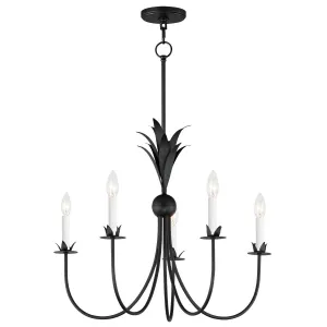 Paloma 26 in. 5 Lights Chandelier Black Finish